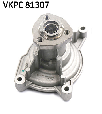SKF VKPC 81307 Waterpomp